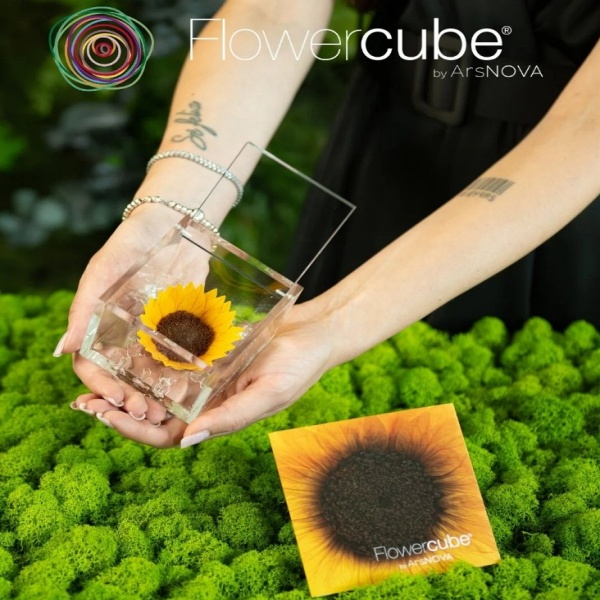 Flowercube Girassol Preservado em Cubo de Acrílico