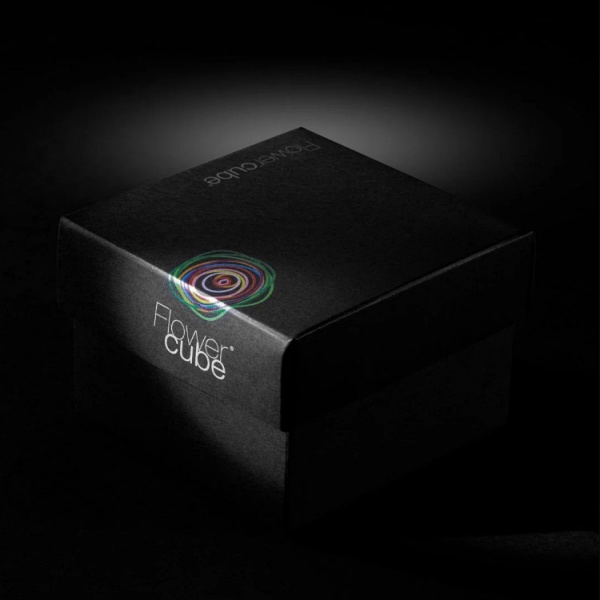 Flowercube Girassol Preservado em Cubo de Acrílico