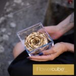 Flowercube Rosa Gold Preservada em Cubo de Acrílico