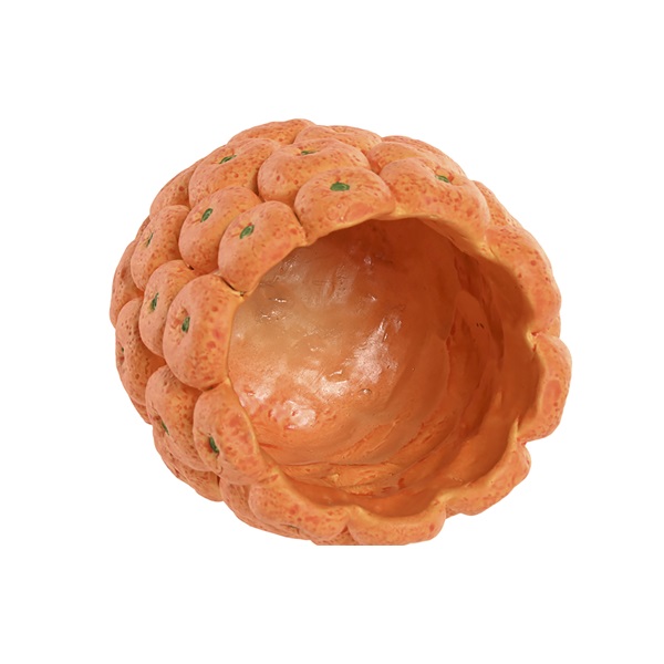 Vaso Decorativo com Laranjas