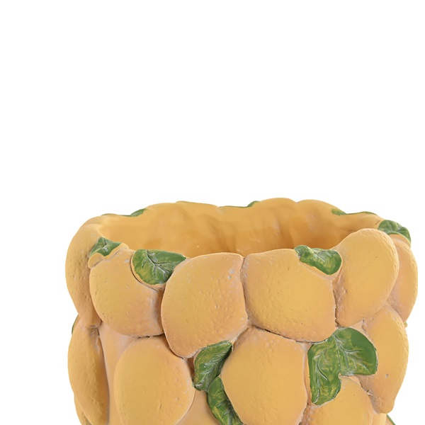 Vaso de Flores com Limões