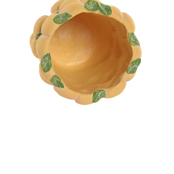 Vaso de Flores com Limões