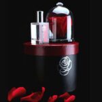 Flowercube- Caixa de Presente Rosa Preservada e Essência