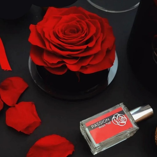 Flowercube- Caixa de Presente Rosa Preservada e Essência