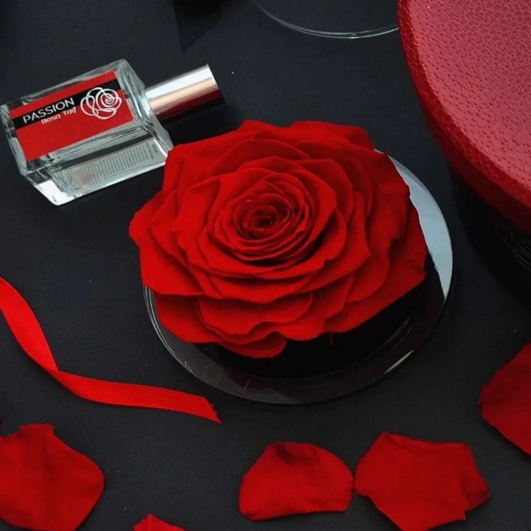 Flowercube- Caixa de Presente Rosa Preservada e Essência