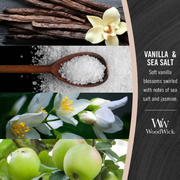 Vela Elipse Vanilla & Sea Salt WoodWick