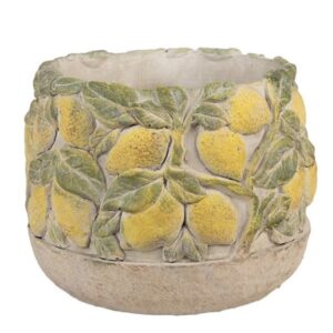 Vaso de Cimento Lemoni
