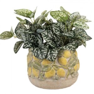 Vaso de Cimento Lemoni