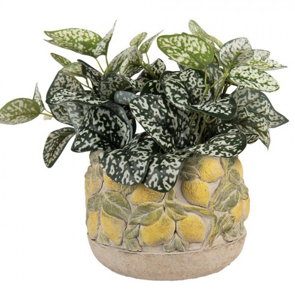 Vaso de Cimento Lemoni