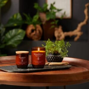 Vela WoodWick ReNew Collection- Ginger and Tumeric