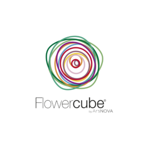 Flowercube *